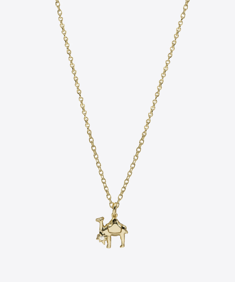 Sahara Star Necklace