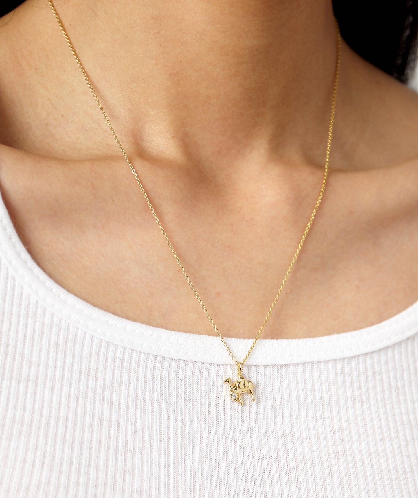 Sahara Star Necklace